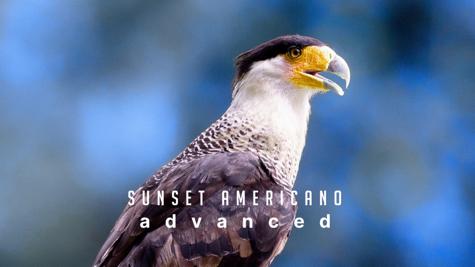Americano Advanced