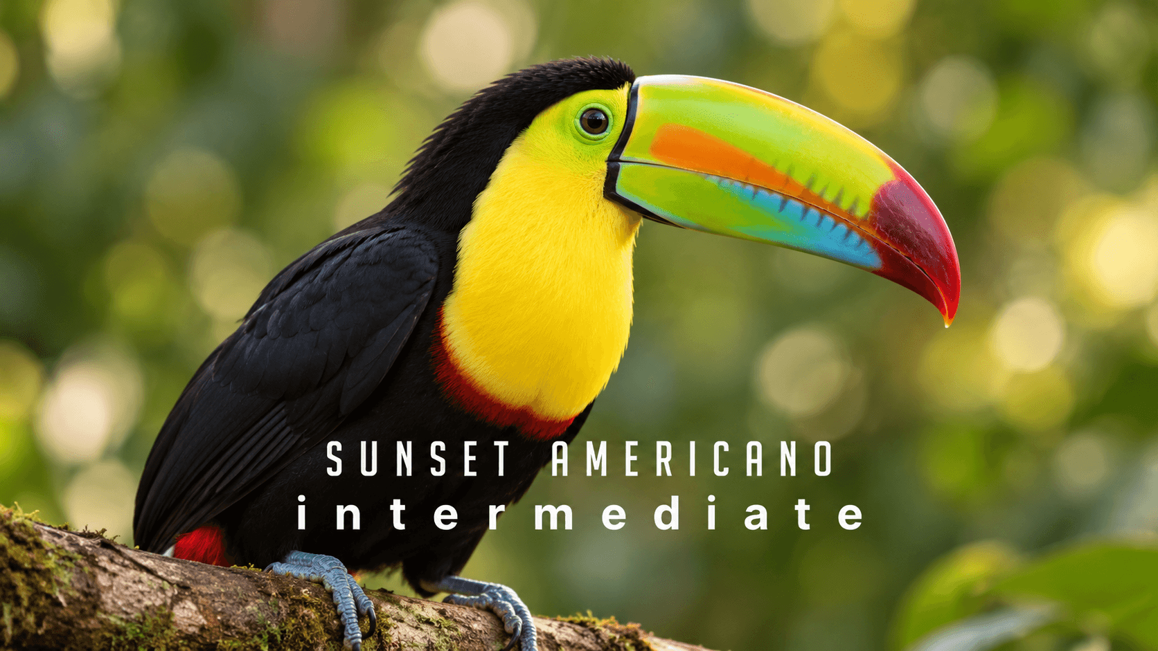 Americano Intermediate